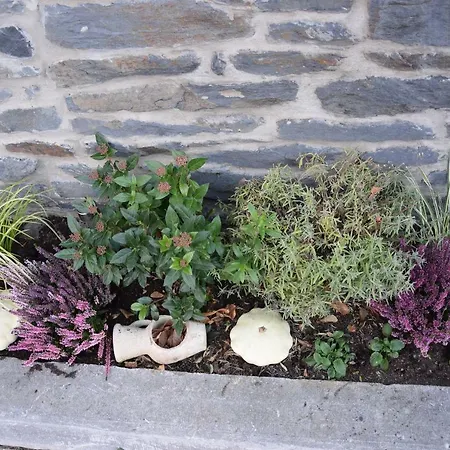 La Cle Des Champs Semesterbostad Bertogne