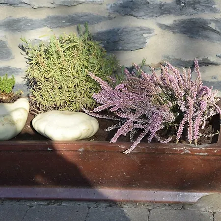 La Cle Des Champs Bertogne