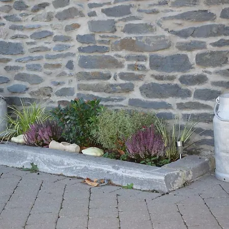 La Cle Des Champs 別荘 Bertogne