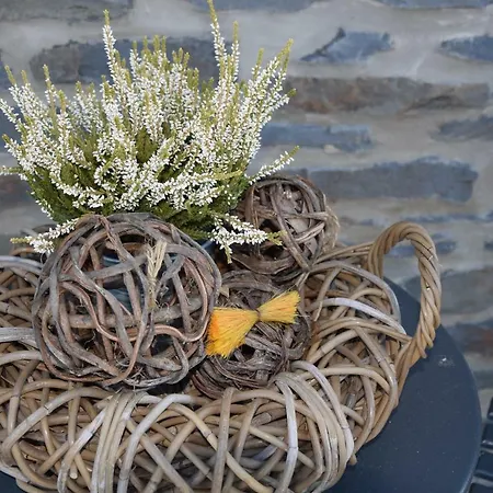 La Cle Des Champs Bertogne