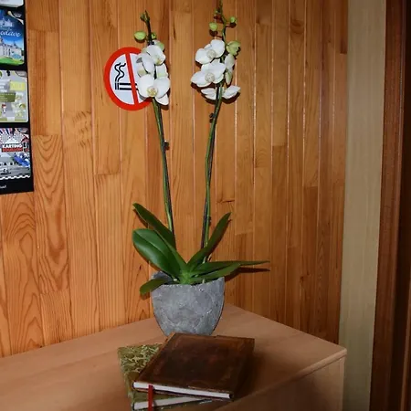 別荘 La Cle Des Champs Bertogne