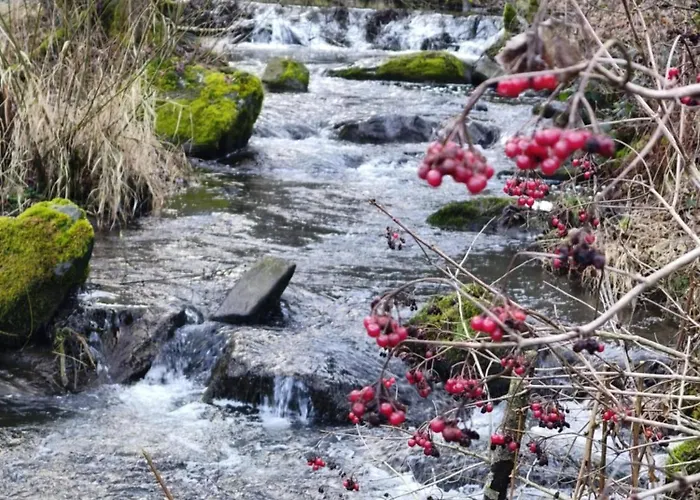 La Cle Des Champs بيت للعطل *