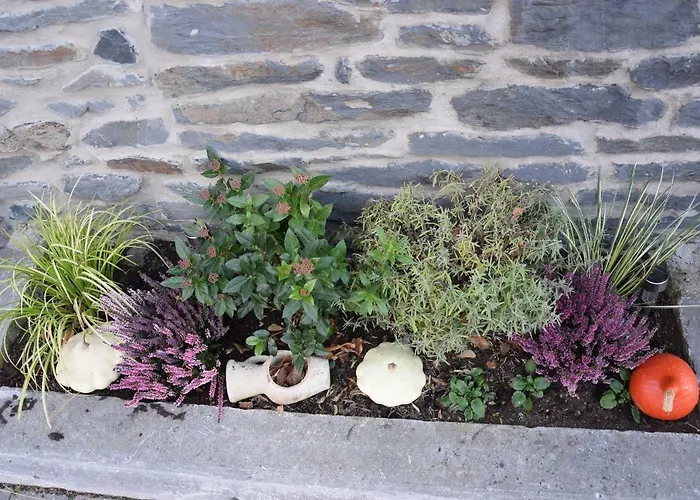 La Cle Des Champs بيت للعطل Bertogne