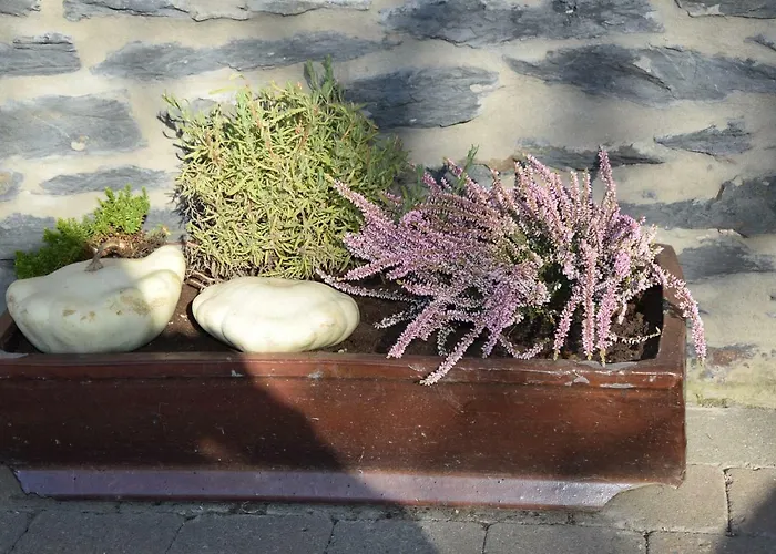 La Cle Des Champs Bertogne