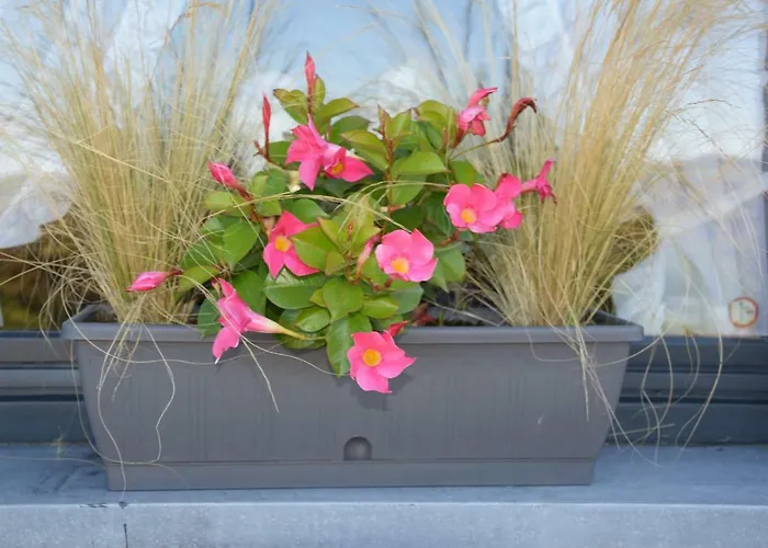 La Cle Des Champs Bertogne