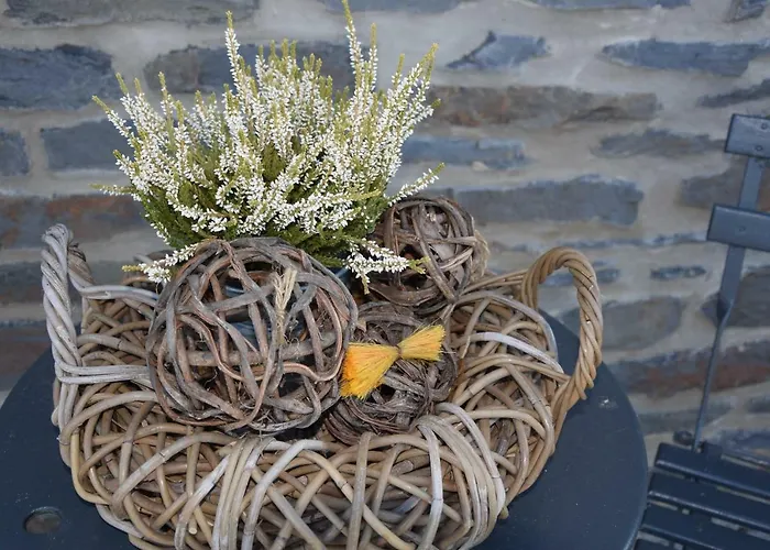 La Cle Des Champs Bertogne