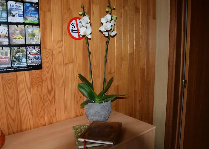 بيت للعطل La Cle Des Champs Bertogne